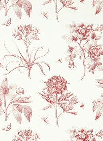 Sanderson Tapete Etchings & Roses - Amanpuri Red