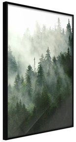 Poster  Steaming Forest  Cornice Quadri Cornice nera, Larghezza x Altezza Home decor 30x45