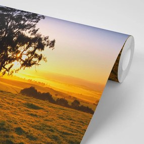 Carta da parati – Albero al tramonto