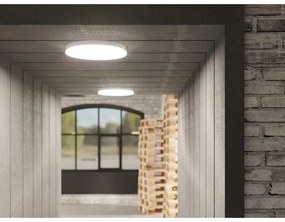 Plafoniera da bagno dimmerabile LED/30W/230V Ø 38 cm IP54