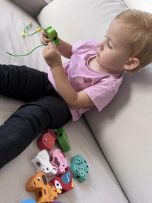 Vilac - Figure da infilare - animali domestici