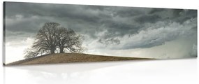 Quadro su tela – Alberi solitari