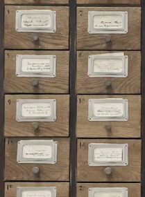 Schranktapete Apothecary von MIND THE GAP - WP20264