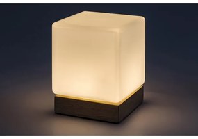 Rabalux 76003 - Lampada da tavolo LED dimmerabile PIRIT LED/1,2W/5V 3000K faggio