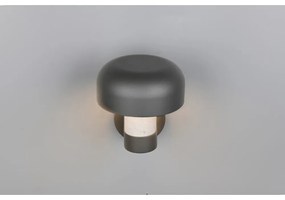 Illuminazione esterna con sensore di movimento da parete (altezza totale 24,5 cm) Fraser – Trio