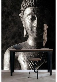 Fotomurale ESTA Statua, nero 186X280 cm