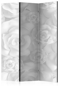 Paravento  Plaster Flowers [Room Dividers]  Colore bianco e nero, Dimensioni e Misure 135x172