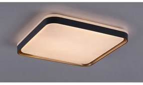 Rabalux 71029 - Plafoniera LED LIATRIS LED/26W/230V 3000K