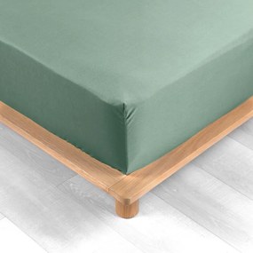 Lenzuolo verde in percalle di cotone elasticizzato 90x190 cm Percaline - douceur d'intérieur