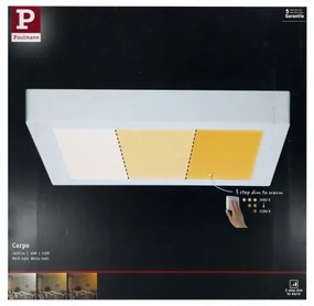 Paulmann 79801 - Plafoniera LED/13W CARPO 230V 2300/2500/3000K