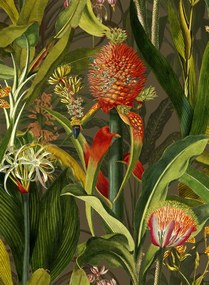 Arte International Carta da parati Blooming Pineapple - Cardinal