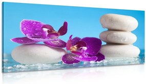 Quadro su tela – Natura morta per il benessere