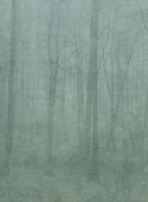 Sandberg Wandbild Skog - Forest Green