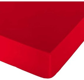 Lenzuolo con angoli aderenti Naturals Rosso - Letto da 90 (90 x 190 cm)