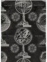 Mindthegap Carta da parati Armillary - WP20030