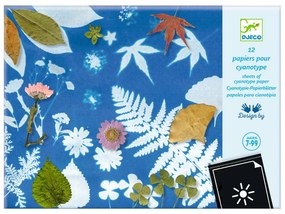 Cianotipia - set di carta fotosensibile