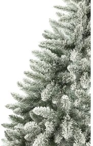 Albero di Natale 150 cm abete rosso