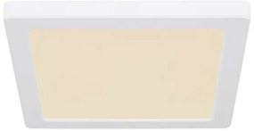 Globo 12380-18W - Plafoniera LED LASSE LED/18W/230V 3000/4000/6500K bianco