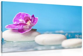 Quadro su tela – Orchidea e pietre Zen