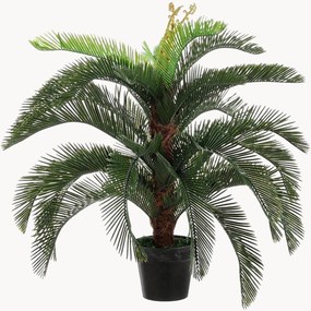 Pianta artificiale da esterno Palma Cycas, alt. 100 cm