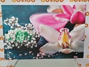 Stampa su tela – Splendida orchidea dettagliata