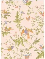 Cole & Son Carta da parati Hummingbirds - Tangerine/ Olive on Blush