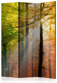Paravento Colori del Bosco (3-parti) - paesaggio colorato tra gli alberi