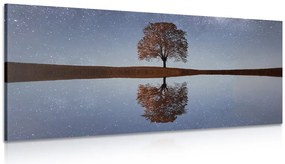 Stampa su tela – Cielo stellato sopra un albero solitario