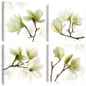 Quadro Fascino della magnolia