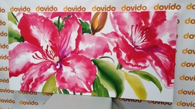 Quadro su tela – Fiori meravigliosi