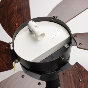 ZEVENTI - Ventilatore da soffitto FAMARA 1xE14/60W/230V