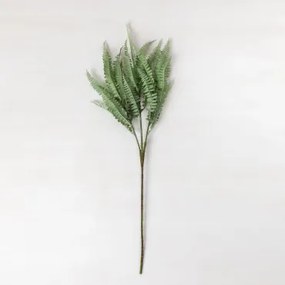 Rami artificiali Filicopsida Verde Salvia - Sklum
