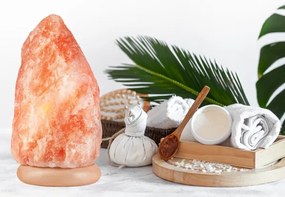 Lampada al sale SALLY 1xE14/25W/230V