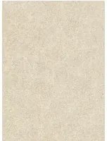 Lederoptik Tapete Shagreen von Zoffany - Oyster