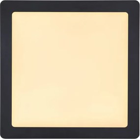 Globo 12374-24 - Plafoniera LED DINO LED/22W/230V