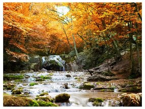 Fotomurale  autunno  cascata  Colore Oro, Dimensioni e Misure 400x309