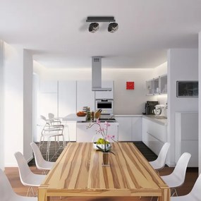 Luce Spot LOGAN 2xE14/40W/230V