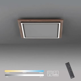 Plafoniera LED PALMA marrone IP20 cct da bianco caldo a bianco freddo con regolazione di temperatura, 5100 lumen PAUL NEUHAUS
