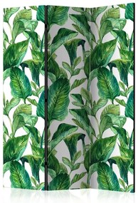 Paravento Tropical Paradise [Room Dividers]