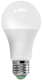 Lampadina LED con sensore crepuscolare ECOLINE A60 E27/12W/230V 3000K -  Brilagi