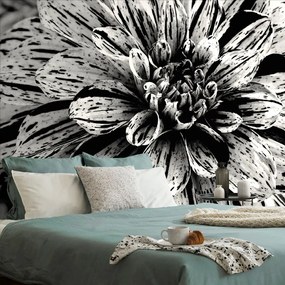 Carta da parati – Dalia esotica in bianco e nero