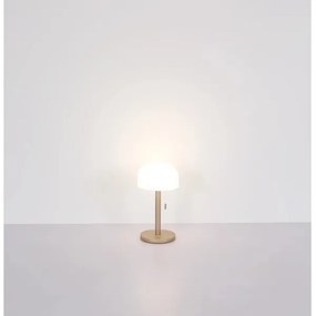 Globo 21016CH - Lampada da tavolo LED NORMAN LED/1,5W/3,7V 3000/4200/6000K marrone