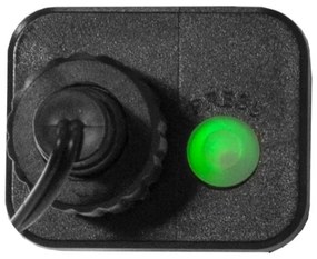 Eglo - Catena di Natale LED da esterno BERRY MINI 300xLED/8 funzioni 11m IP44 bianco caldo