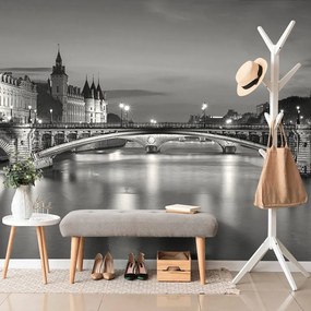 Carta da parati – Panorama abbagliante di Parigi in bianco e nero