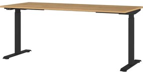 Scrivania regolabile elettricamente con piano effetto rovere 80x180 cm Agenda - Germania