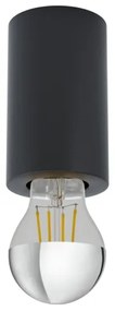 Eglo 99065 - Plafoniera SALUZZO 1xE27/40W/230V