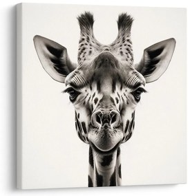 Quadro su tela – Sguardo della giraffa