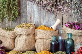 Quadro su tela – Erbe medicinali
