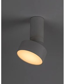 Rabalux 71326 - Plafoniera LED OVIDIA LED/10W/230V 3000K bianca