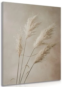 Stampa su tela – Erba pampas secca